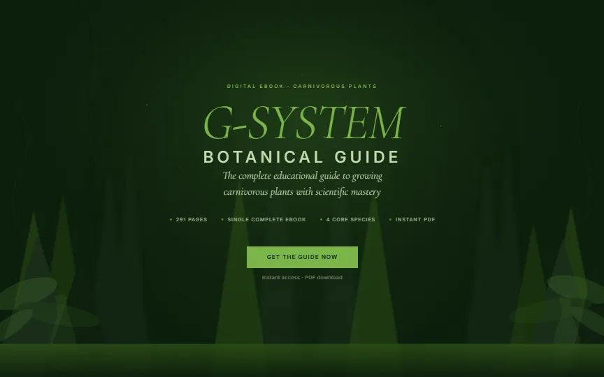 G-System website preview